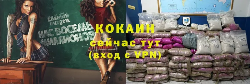 купить   omg ссылка  Cocaine Перу  Нижнекамск 